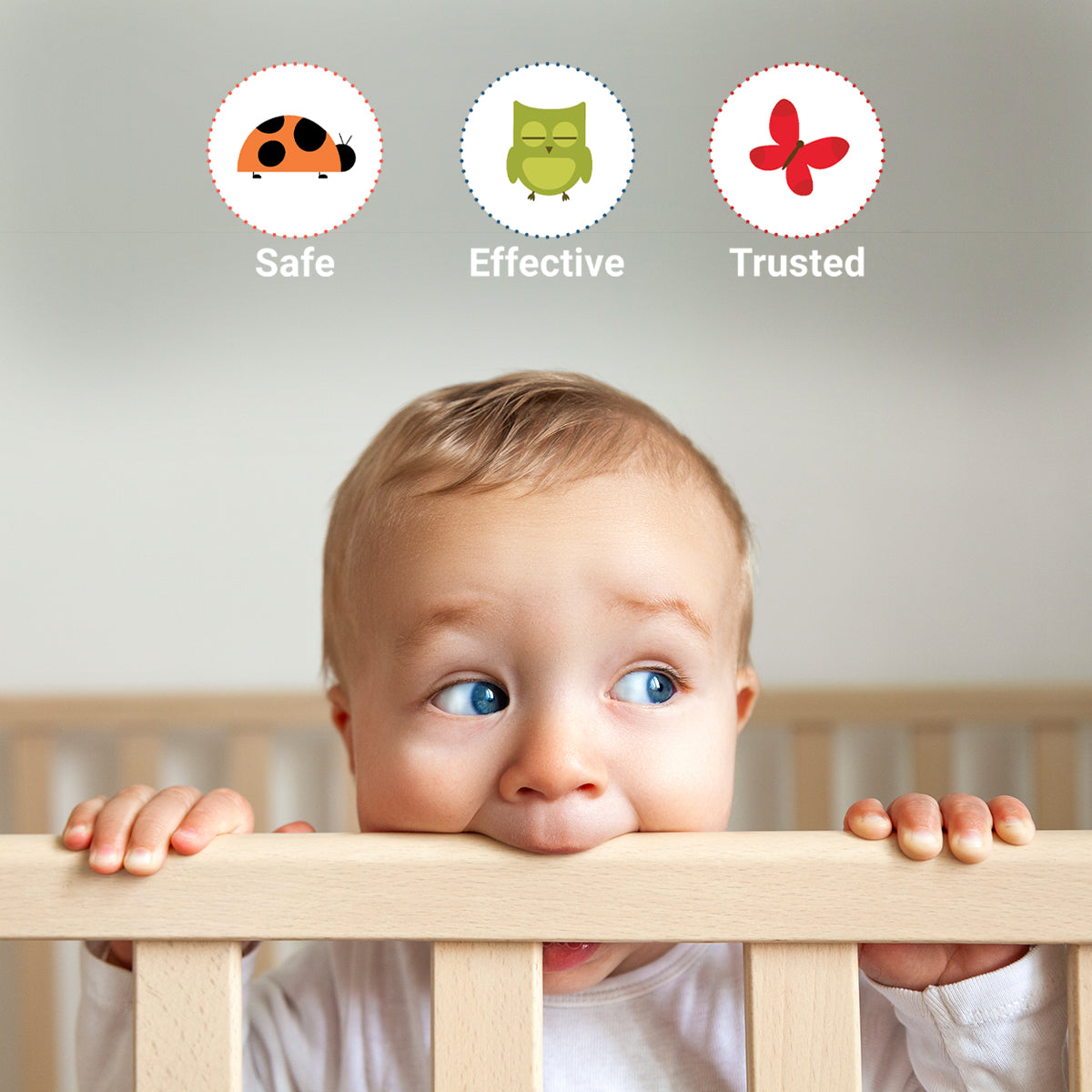 Wellements Organic Baby Tooth Oil