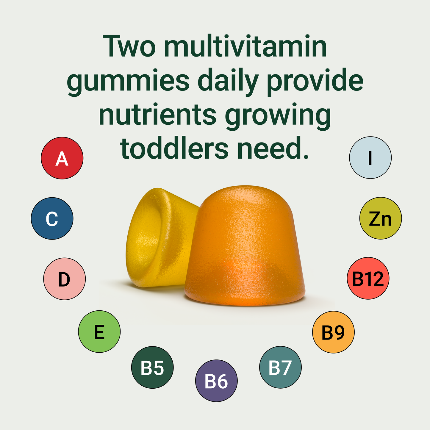 Wellements Organic Children’s Multivitamin Gummy