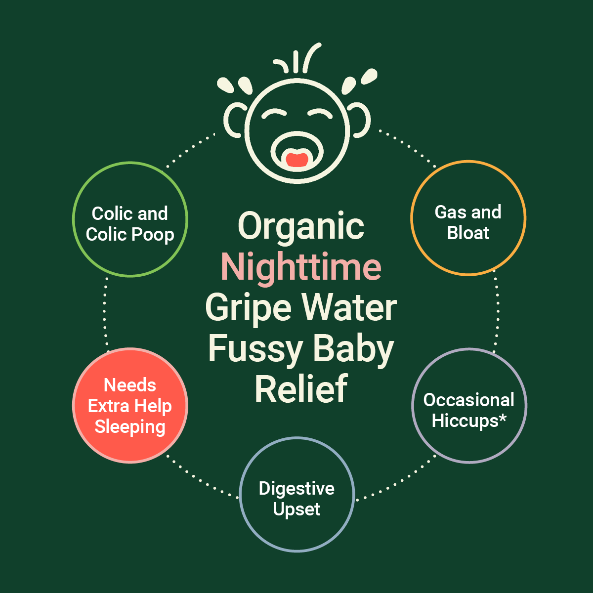 Wellements Organic Nighttime Gripe Water