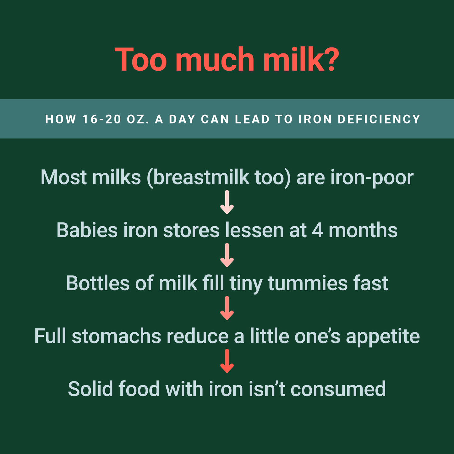 Wellements Organic Iron Drops