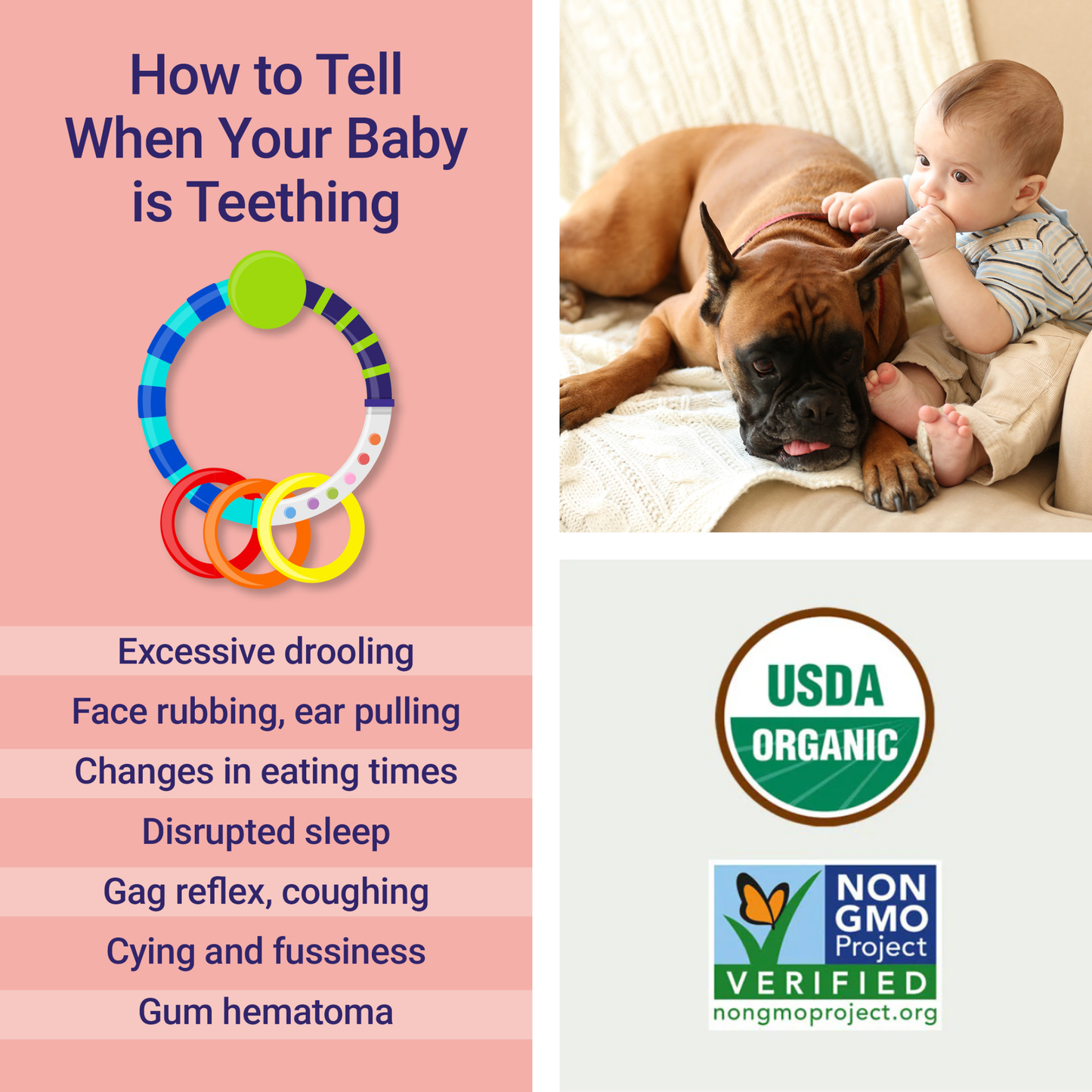 Wellements Organic Baby Tooth Oil