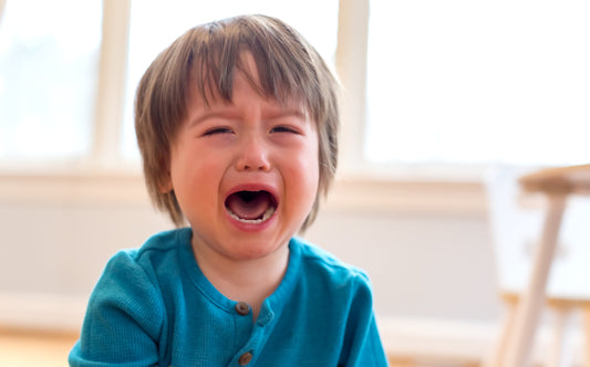 Handling Toddler Tantrums & Meltdowns