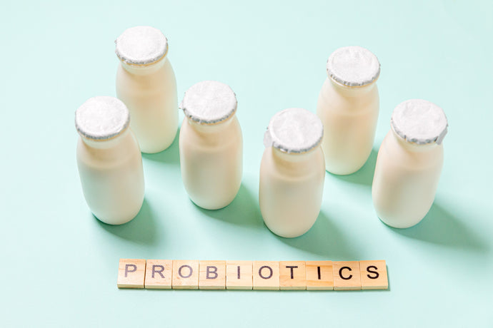 Probiotics: What Are They and Why Are They Important?