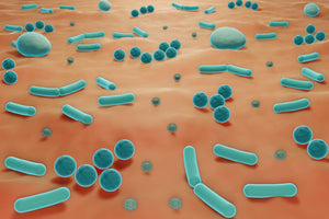 Understanding the Role of Microbes In Probiotics