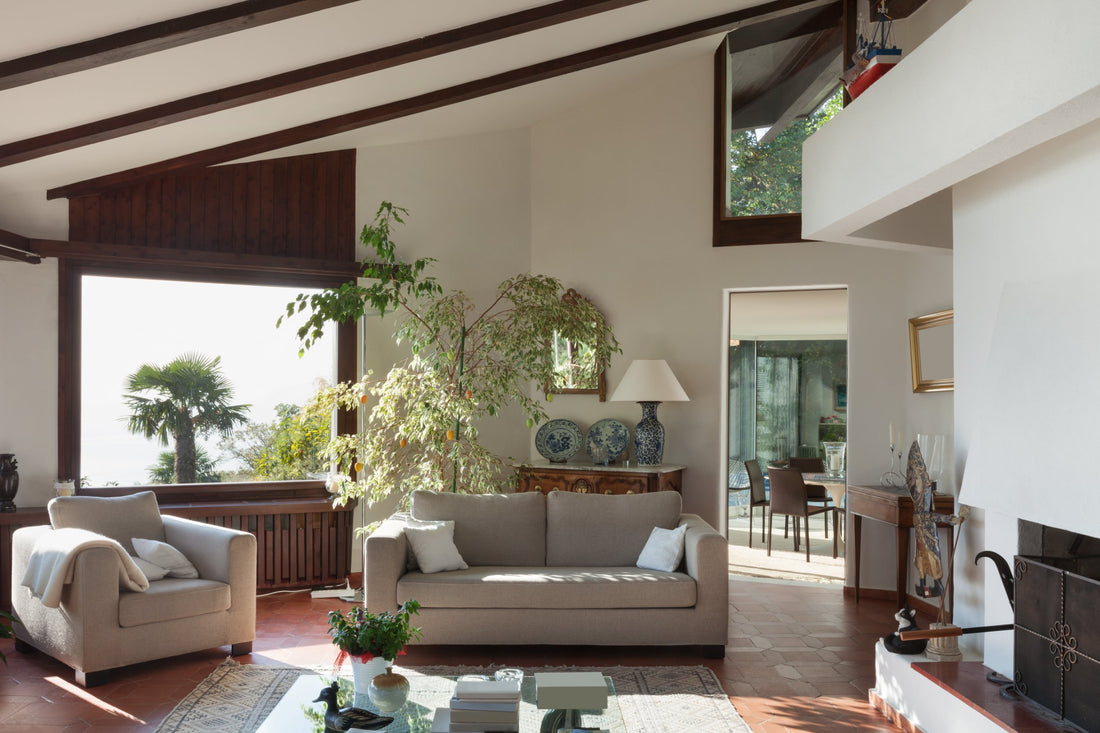 How To Reduce Common Toxins in Your Home