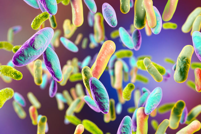 Your Complete Guide To The Microbiome