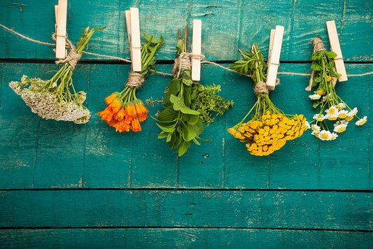 Medicinal Organic Ingredients