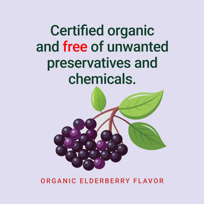 Wellements Organic Elderberry Immune Syrup